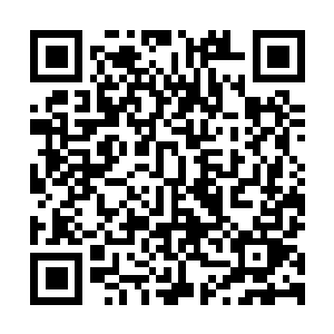 图片[1]-骑马与砍杀2：霸主|v1.2.12.66233|全DLC|官方中文|支持手柄|Mount & Blade II: Bannerlord-资源捕手的分享社区