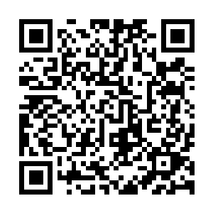 图片[1]-赛博朋克2077：往日之影|v2.21|全DLC|官方中文|支持手柄|Cyberpunk 2077-资源捕手的分享社区