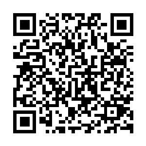 图片[1]-光与影：33号远征队|v56442|豪华版|官方中文|支持手柄|Expedition 33-资源捕手的分享社区