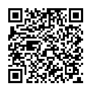 图片[1]-博德之门3|v4.1.1.6839938|全DLC|官方中文|支持手柄|Baldur’s Gate 3-资源捕手的分享社区