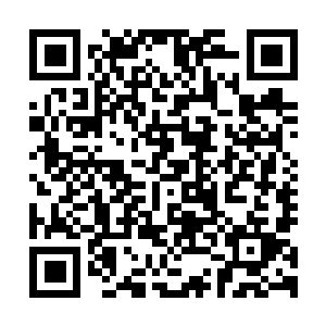 图片[1]-只狼：影逝二度|豪华中文|V1.06|最终年度版+预购特典+全DLC+修改器-支持手柄|Sekiro™: Shadows Die Twice – GOTY Edition/Sekiro: Shadows Die Twice-资源捕手的分享社区