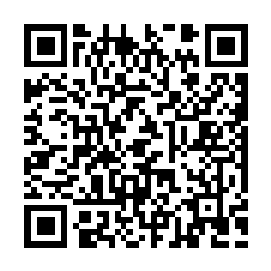 图片[1]-最后生还者2：重制版|v1.3.10430.0406|全DLC|官方中文|支持手柄|The Last of Us™ Part II Remastered|最后的生还者2|美国末日2-资源捕手的分享社区