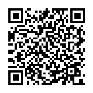 图片[1]-巫师3：狂猎|次世代完全版|v4.0.4|全DLC|官方中文|修改器|The Witcher 3: Wild Hunt-资源捕手的分享社区