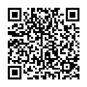 图片[1]-底特律：变人|v20230928|官方中文|支持手柄|存档|底特律：化身为人/Detroit: Become Human-资源捕手的分享社区