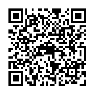 图片[1]-暗黑破坏神2：重制版|v1.6.81914|官方中文|Diablo II: Resurrected|暗黑破坏神2：狱火重生-资源捕手的分享社区