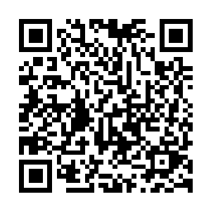 图片[1]-生化危机8：村庄-黄金版|V20231110|全DLC|完美存档+修改器|官方中文|支持手柄|RESIDENT EVIL VILLAGE GOLD EDITION-资源捕手的分享社区