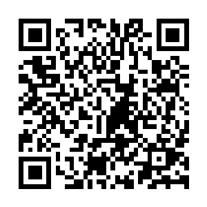 图片[1]-无限机兵|v1.0.022|官方中文|支持手柄|AI Limit-资源捕手的分享社区