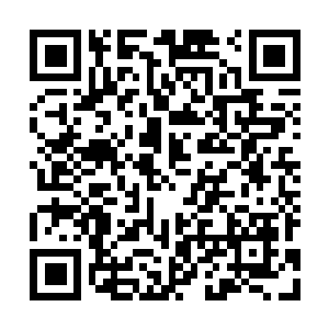 图片[1]-荒野大镖客2：救赎|大表哥2|v1491.50|终极版|官方中文|支持手柄|Red Dead Redemption 2-资源捕手的分享社区