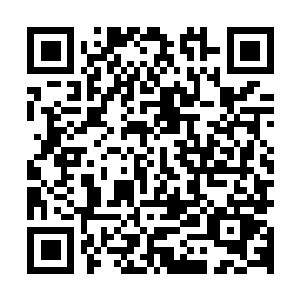 图片[1]-下一站江湖Ⅱ|v20250525|全DLC-资源捕手的分享社区
