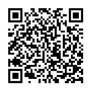 图片[1]-极限竞速：地平线5|v1.681.440|顶级版|全DLC|官方中文|支持手柄|Forza Horizon 5 – Premium Edition-资源捕手的分享社区