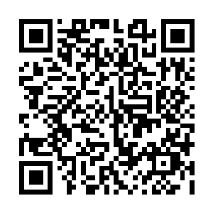 图片[1]-艾尔登法环 黑夜君临联机版|v1.01.4|官方中文|支持手柄|Elden Ring: Nightreign-资源捕手的分享社区