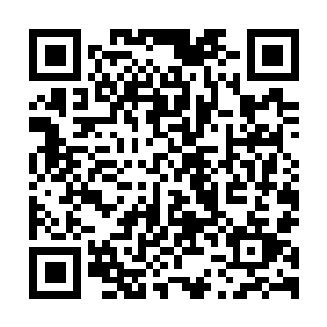 图片[1]-寂静岭2重制版|v1.1.258.834|豪华版|全DLC|官方中文|支持手柄|SILENT HILL 2-资源捕手的分享社区