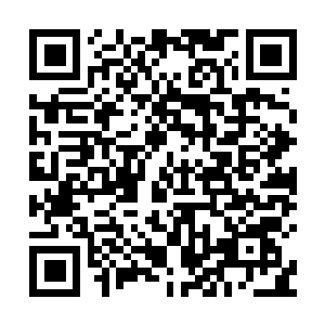 图片[1]-消逝的光芒2: 重装上阵版|v1.21.4|终极版|全DLC|官方中文|支持手柄|Dying Light 2 Stay Human|消失的光芒2 人与仁之战终极版-资源捕手的分享社区