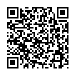 图片[1]-鬼谷八荒|v1.2.110|全DLC|官方中文|支持手柄|Tale of Immortal-资源捕手的分享社区