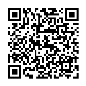 图片[1]-城市：天际线2|v1.3.3f1|终极版|全DLC|官方中文|支持手柄|Cities: Skylines II|都市：天际线2-资源捕手的分享社区