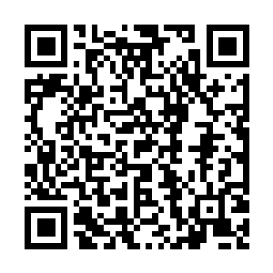图片[1]-卧龙：苍天陨落|v1.304|豪华版|全DLC|存档|修改器|Wo Long: Fallen Dynasty-资源捕手的分享社区
