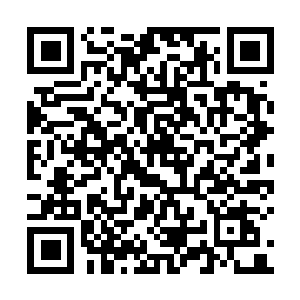 图片[1]-十字军之王3|v1.16.2.2|全DLC|官方中文|Crusader Kings III|王国风云3-资源捕手的分享社区