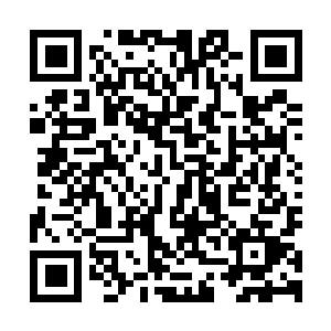 图片[1]-对马岛之魂：导演剪辑版|v1053.7.0809.1937|全DLC|官方中文|支持手柄|存档+修改器|Ghost of Tsushima: Director’s Cut-资源捕手的分享社区