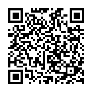 图片[1]-真三国无双：起源|v1.0.0.5|豪华版|官方中文|支持手柄|DYNASTY WARRIORS: ORIGINS-资源捕手的分享社区