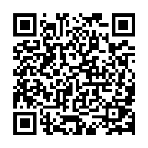 图片[1]-幻兽帕鲁|v0.6.0.75365|官方中文|支持手柄|Palworld-资源捕手的分享社区