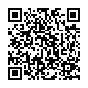 图片[1]-极速骑行4|官方中文|V20230419-弯道疾驰-引擎之魂+全DLC|RIDE 4-资源捕手的分享社区