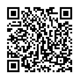图片[1]-以撒的结合：重生|v20250414|全DLC|官方中文|支持手柄|The Binding of Isaac: Rebirth-资源捕手的分享社区
