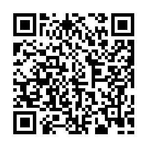 图片[1]-星露谷物语|v1.6.15|全DLC|官方中文|支持手柄|Stardew Valley-资源捕手的分享社区