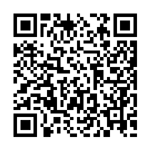 图片[1]-怪物猎人：世界-冰原|豪华版|v15.22.00|全DCL|官方中文|支持手柄|存档+修改器+原画+BGM|Monster Hunter World: Iceborne|怪物猎人世界 冰原-资源捕手的分享社区