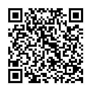 图片[1]-艾尔登法环 黑夜君临联机版|v1.03.2|官方中文|Elden Ring: Nightreign-资源捕手的分享社区