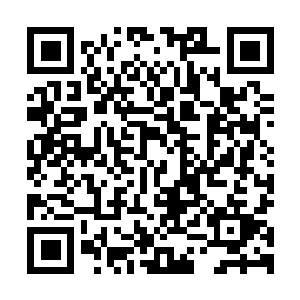 图片[1]-艾尔登法环|全DLC|豪华版|黄金树幽影|MOD整合|v1.16.1|DLC补丁|官方中文|支持手柄|修改器|Elden Ring|黄金树之影|老头环-资源捕手的分享社区