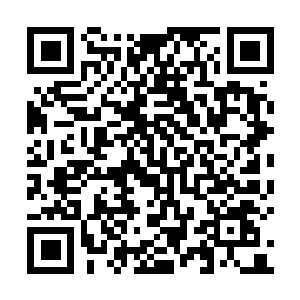 图片[1]-十字军之王3|v1.18.0|全DLC|官方中文|Crusader Kings III|王国风云3-资源捕手的分享社区