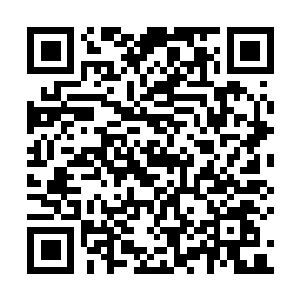 图片[1]-七龙珠Z：卡卡罗特|v2.12|究极版|全DLC|官方中文|支持手柄|DRAGON BALL Z: KAKAROT/七龙珠Z 卡卡洛特-资源捕手的分享社区