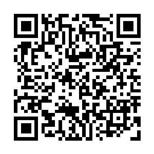 图片[1]-方舟：生存上升免费绿色版下安装|v58.32|全DLC|官方中文|支持手柄|ARK: Survival Ascended