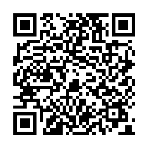图片[1]-仙剑奇侠传7绿色版免费下载|V2.1.0+人间如梦DLC-V1.0.1+全DLC|仙剑奇侠传七