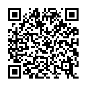 图片[1]-欧陆风云4免费绿色版下安装|v1.37.0.0|终极版|全DLC|官方英文|Europa Universalis IV King of Kings