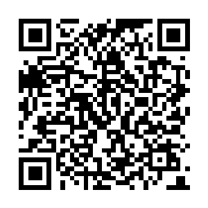 图片[1]-匹诺曹的谎言绿色版免费下载|v1.10|豪华版|全DLC|官方中文|支持手柄|Lies of P