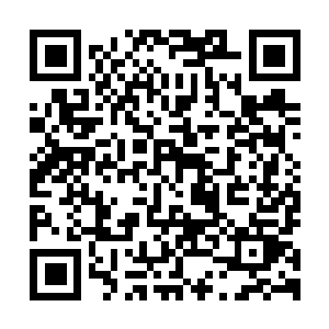 图片[1]-消逝的光芒：白金版绿色版免费下载|v1.52.0.HF2|全DLC|官方中文|支持手柄|Dying Light Platinum Edition