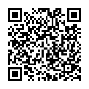 图片[1]-质量效应：仙女座绿色版免费下载v1.10/Mass Effect：Andromeda豪华版|容量53.5GB简中汉化|支持手柄|赠音乐原声|多项修改器