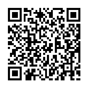 图片[1]-忍者龙剑传2：黑之章绿色版免费下载|v1.0.6.0|官方中文|支持手柄|NINJA GAIDEN 2 Black