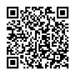 图片[1]-致命躯壳绿色版免费下载/Mortal Shell