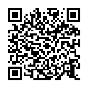 图片[1]-明末：渊虚之羽|v1.7.0|豪华版|官方中文|支持手柄|Wuchang Fallen Feathers-资源捕手的分享社区