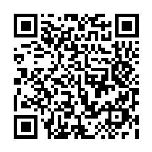 图片[1]-方舟：生存进化绿色版免费下载