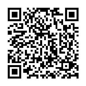 图片[1]-帕斯卡契约终极版|v1.5.4|Pascals Wager: Definitive Edition-资源捕手的分享社区