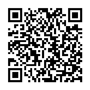 图片[1]-最终幻想12：黄道年代/Final Fantasy XII: The Zodiac Age/FINAL FANTASY XII THE ZODIAC AGE-资源捕手的分享社区