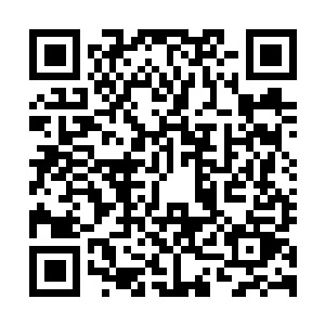 图片[1]-严阵以待|v88602|全DLC|官方中文|支持手柄|Ready or Not-资源捕手的分享社区