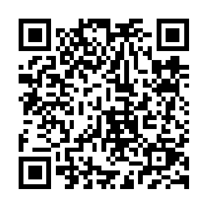 图片[1]-侠盗猎车手4/侠盗猎车4/GTA4/Grand Theft Auto IV: The Complete Edition-资源捕手的分享社区