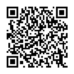 图片[1]-最终幻想8：重制版/Final Fantasy VIII Remake/FINAL FANTASY VIII – REMASTERED-资源捕手的分享社区