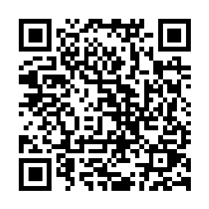 图片[1]-最终幻想9/FINAL FANTASY IX-资源捕手的分享社区