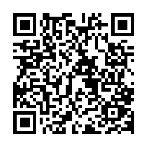 图片[1]-群星|支持网络联机|v4.2.4|豪华版|全DLC|官方中文|Stellaris: First Contact Story Pack|群星银河版-资源捕手的分享社区