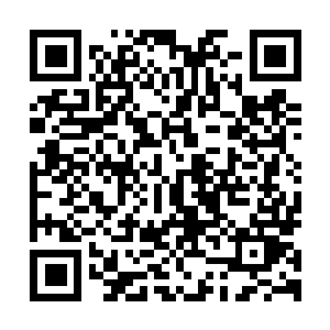 图片[1]-忍者龙剑传4|v1.0.1|豪华版|官方中文|NINJA GAIDEN 4-资源捕手的分享社区